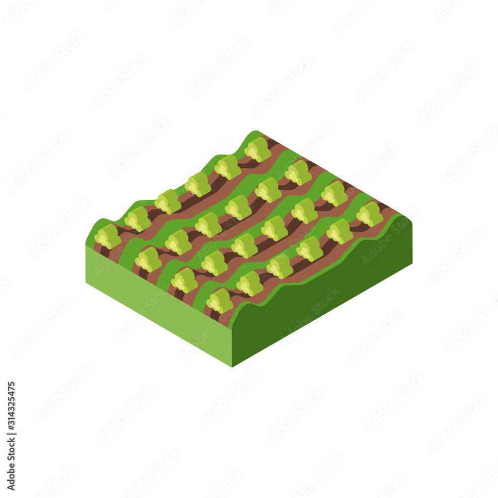 Isolated isometric shrubs vector design Isolated isometric shrubs vector design
