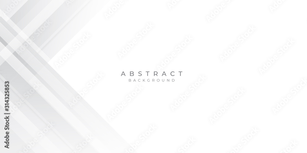 Obraz premium White Grey Silver Box Rectangle Abstract Background Vector Presentation Design