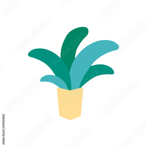 potted succulent plants flat icon