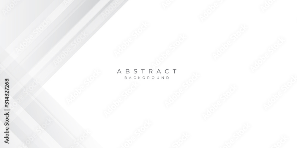 Obraz premium White Grey Silver Box Rectangle Abstract Background Vector Presentation Design