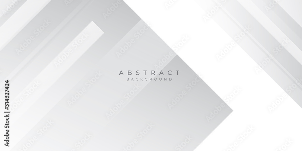 Obraz premium White Grey Silver Box Rectangle Abstract Background Vector Presentation Design