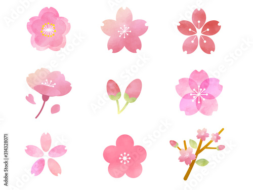 桜 水彩 コレクション