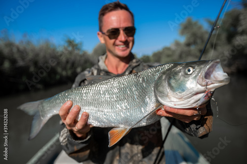 Fisherman holds the big Asp (Leuciscus aspius) and smiles