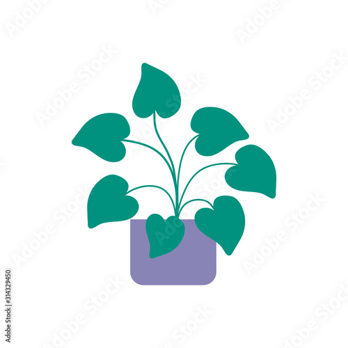 tropical leaves in pot plants flat icon © Stockgiu