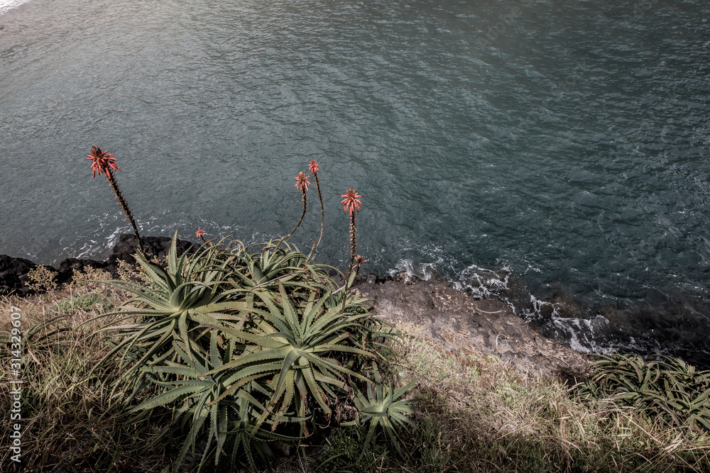 Landscape at the Island of Madeira, Portugal, Europe Landscape at the Island of Madeira, Portugal, Europe