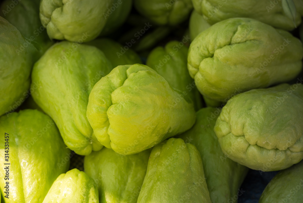 Fototapeta premium Pile of green Chayote. 