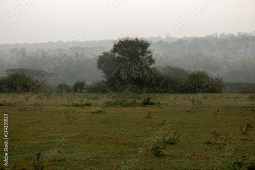 Beautiful landscape view of a foggy morning in Masinagudi, Mudumalai National Park, Tamil Nadu - Karnataka State border, India. photo