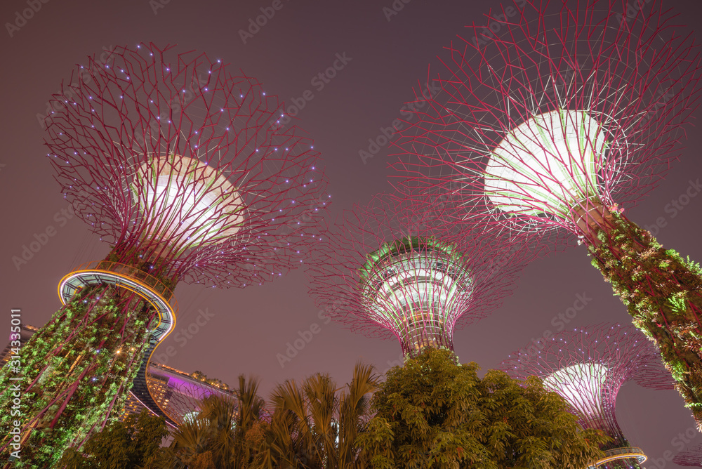 Low angle view of Artificial Super tree illuminated at night in Singapore