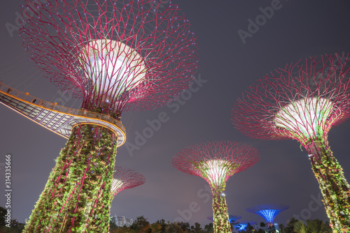 Skyway and artificial Super tree illuminated at night at Singapore Garden by the bay