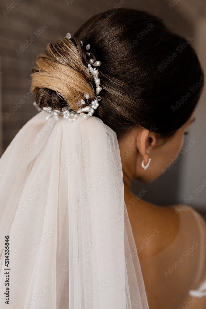 Back view of a wedding hairdo for a brunette caucasian girl with a veil