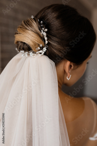 Back view of a wedding hairdo for a brunette caucasian girl with a veil
