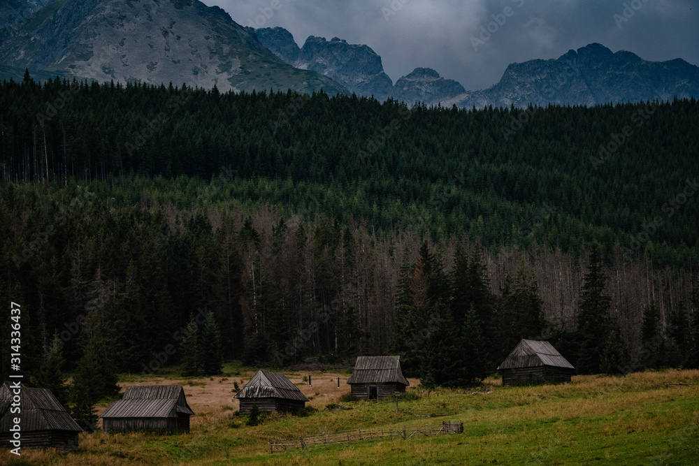 path through Gasienicowa Valley in Tatry mountains, Poland