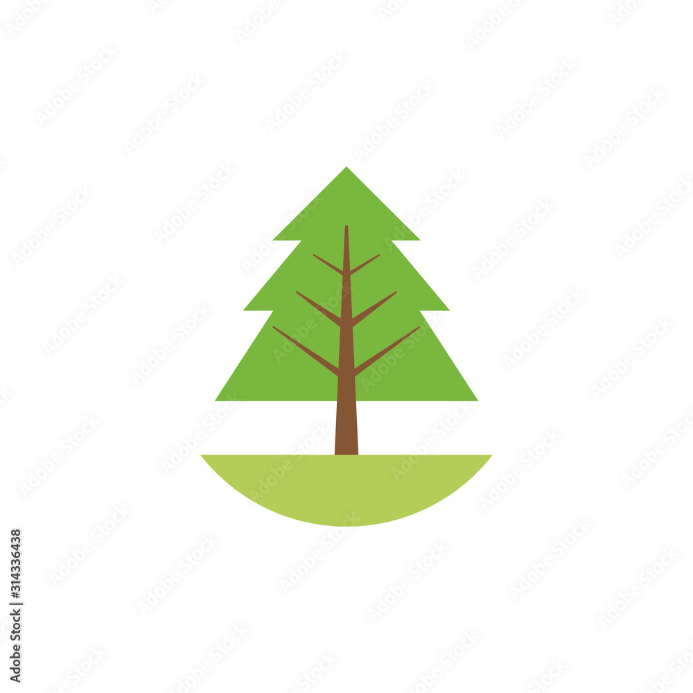 pine tree plant flat style pine tree plant flat style