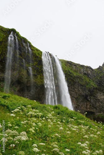 200 Foot waterfall in Iceland just Behind the winter flowers and shrubs