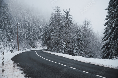 Snowy road with snow-covered pine forest on the sides