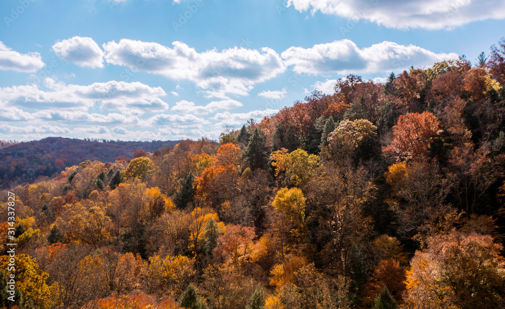 autumn autumn