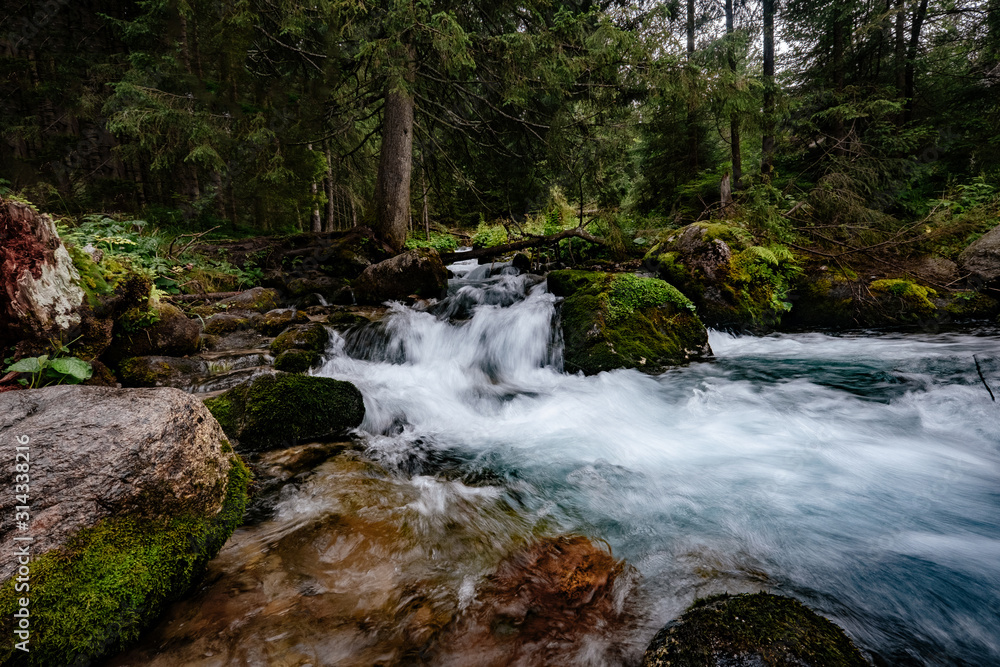 Mountain stream in High Tatras National Park, Poland Mountain stream in High Tatras National Park, Poland