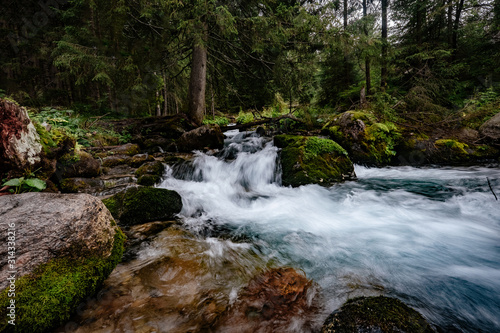 Fototapeta Naklejka Na Ścianę i Meble -  Mountain stream in High Tatras National Park, Poland