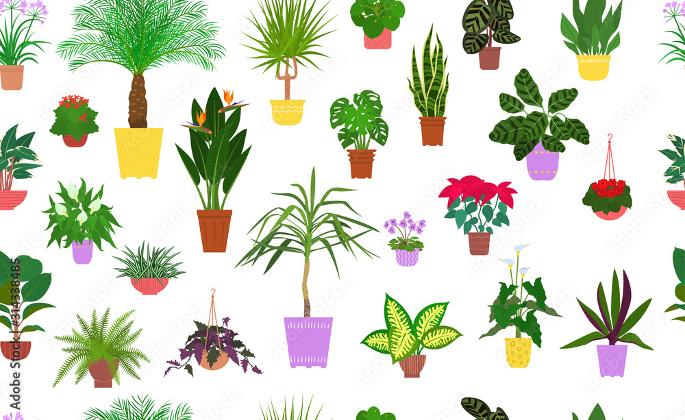 Fototapeta Seamless pattern from different house plants in colorful flower pots. Vector illustration.