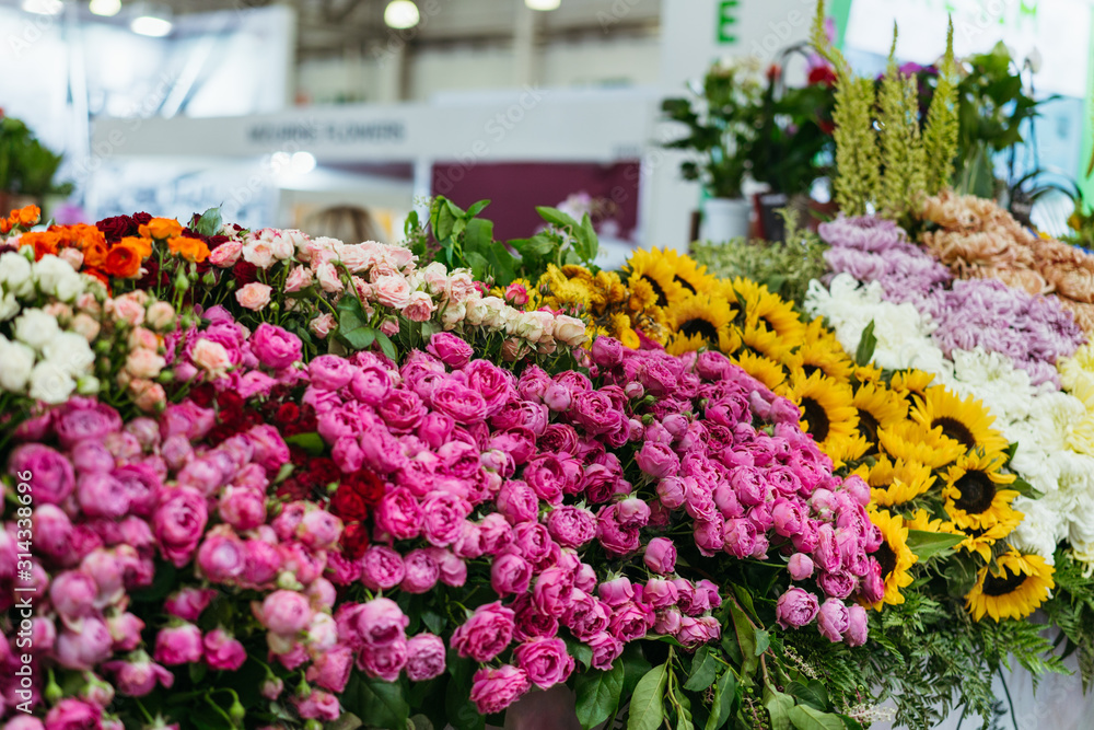 A variety of colorful fresh flowers at the flower fair. Spring sale. Colorful nature background.