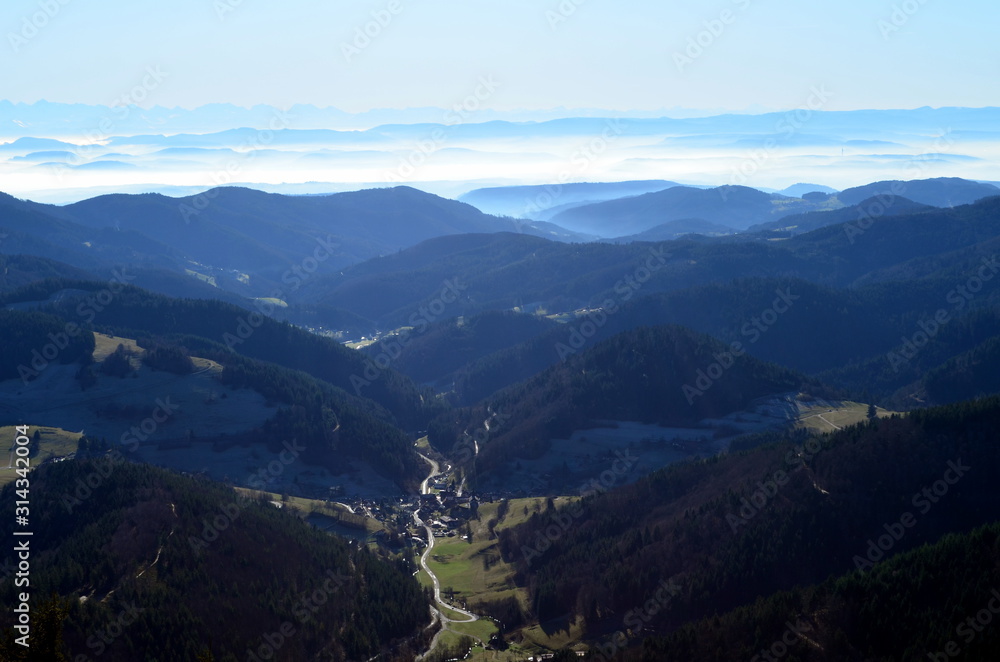 Blick vom Belchen in ein Schwarzwaldtal
