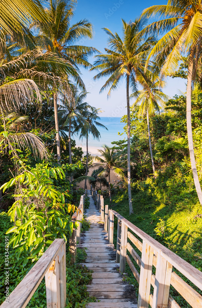 A beautiful descent wooden staircase through the jungle down to the beach. A beautiful view opens through palm trees to the ocean. A beautiful descent wooden staircase through the jungle down to the beach. A beautiful view opens through palm trees to the ocean.