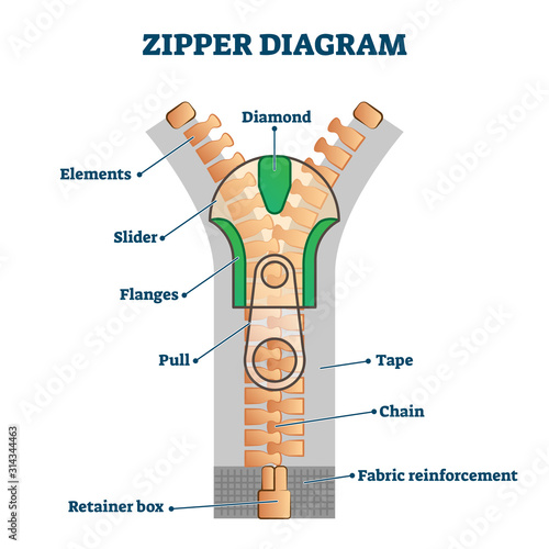 Zipper diagram vector illustration. Detailed educational scheme with titles