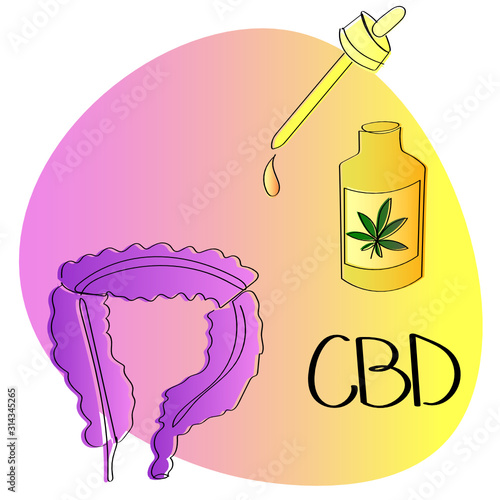 Bright symbolic minimalist illustration showing the use of CBD Cannabinoid for gut health and wellbeing