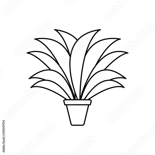 potted succulent plants line style icon