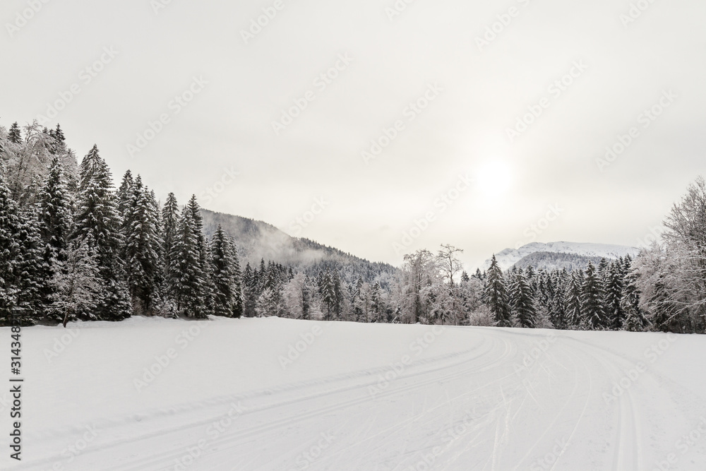 snow-covered cross-country ski run trail and winter path in the ski area snow-covered cross-country ski run trail and winter path in the ski area