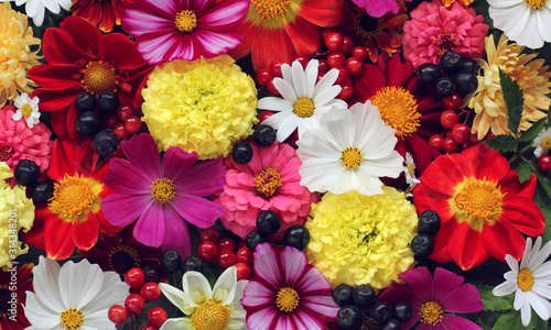 garden flowers and berries, top view. summer composition