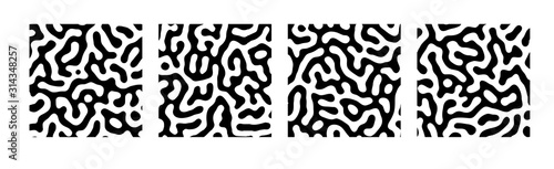 Vector Seamless Reaction Diffusion Set - Mathematical Biology Turing Patterns