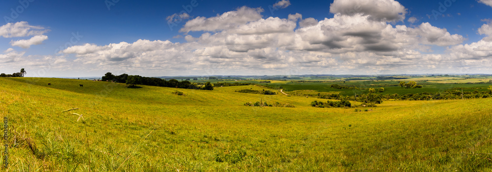 Foto de Paisagem do Pampa gaúcho, um panorama dos seus campos verdes