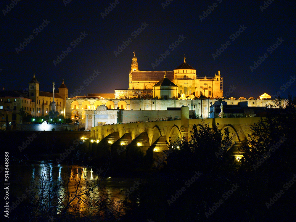 night view of the city of Cordoba in Spain