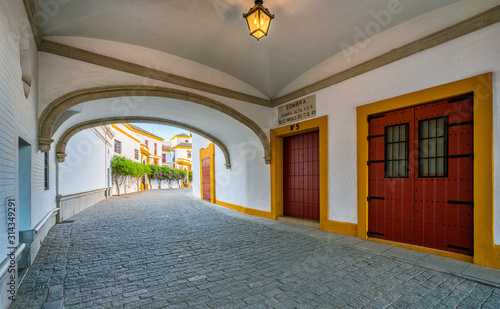 The famous Plaza de Toros of Seville on a summer afternoon  Andalusia  Spain.