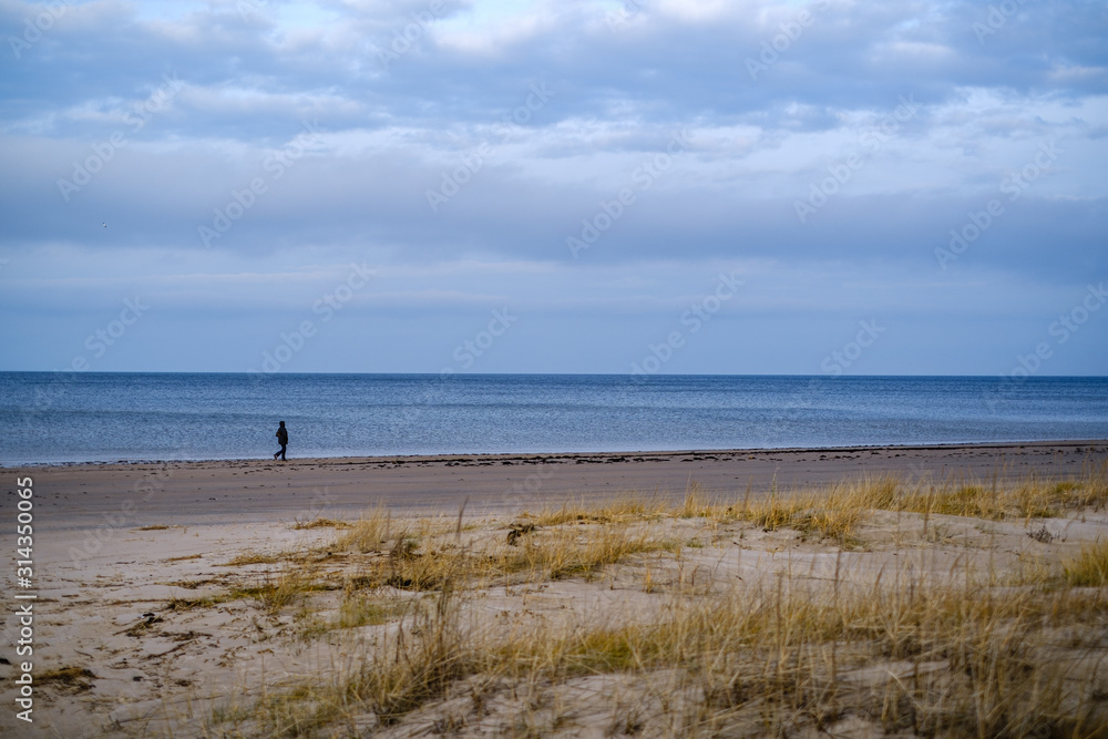 empty sea beach in autumn with some bushes and dry grass