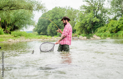 Fototapeta Naklejka Na Ścianę i Meble -  Fishing provides that connection with whole living world. Find peace of mind. Bearded fisher catching trout fish with net. Fishing is astonishing accessible recreational outdoor sport. Fishing hobby