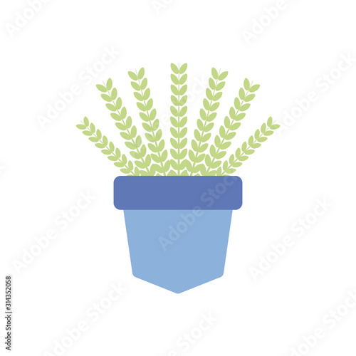 houseplant in pot decoration plants flat icon