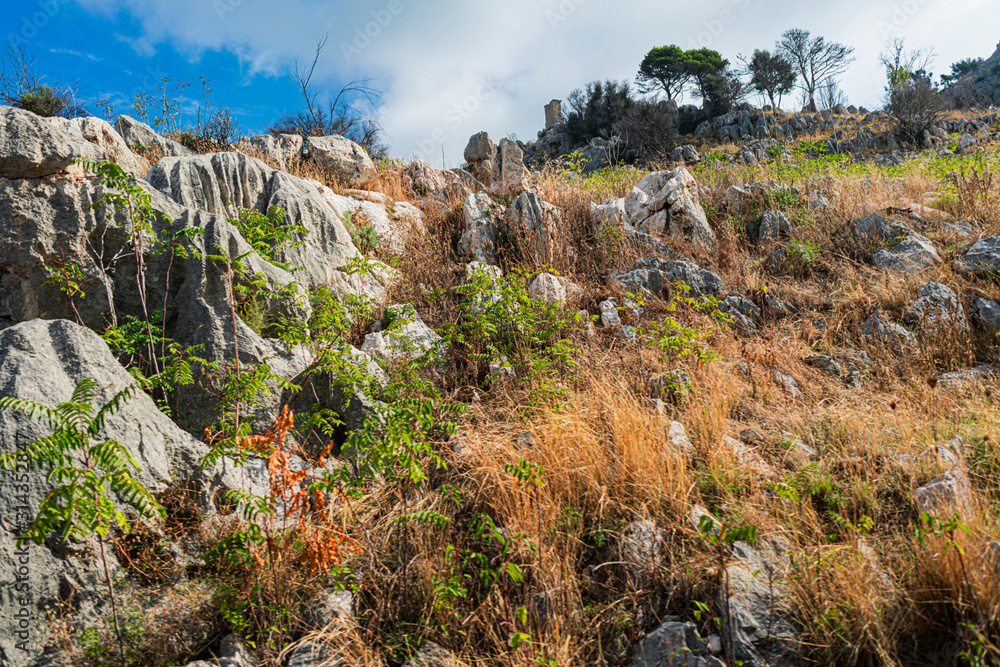 Obraz premium Nature of Mount Pellegrino, landscape. Palermo, Sicily, Italy