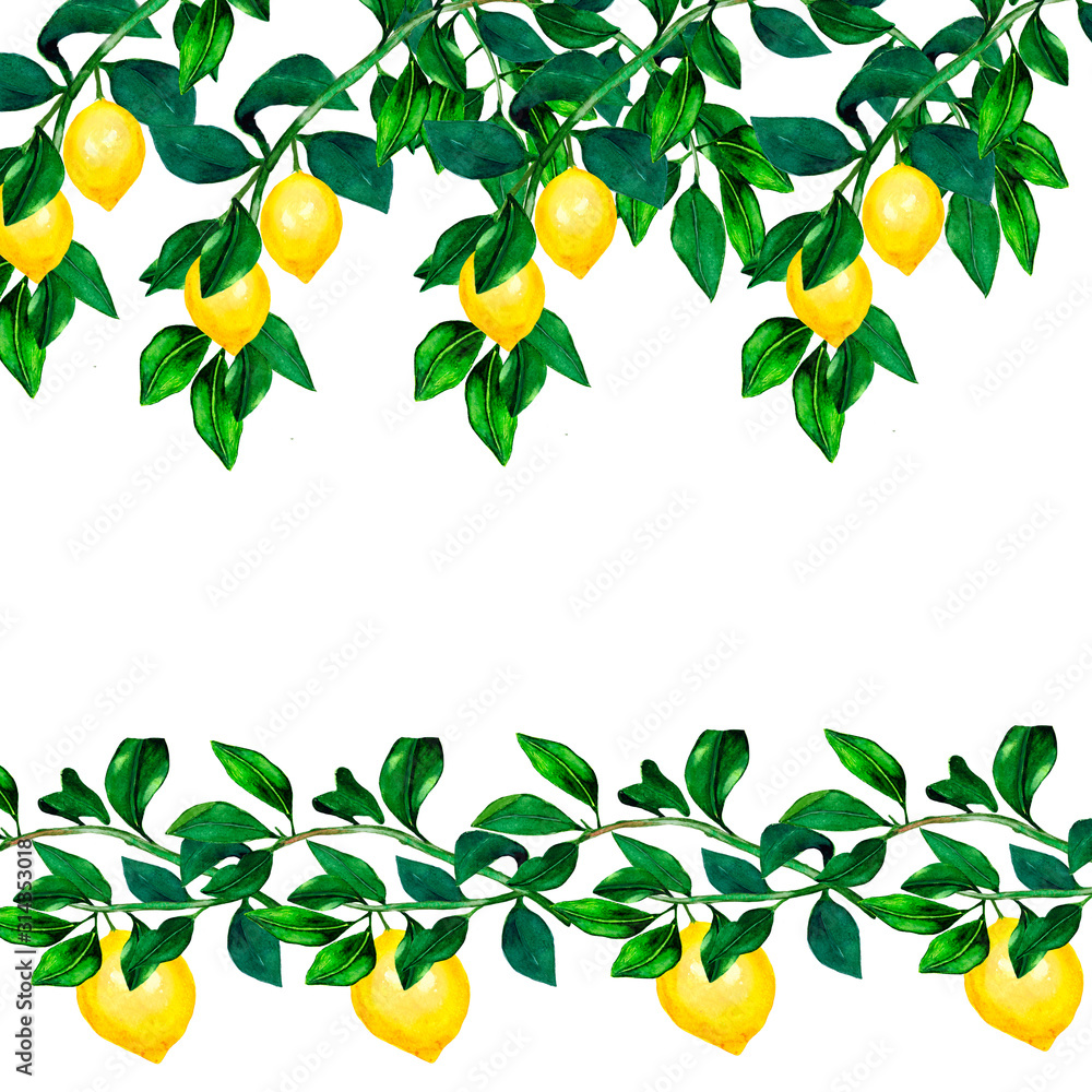 Watercolor lemon with branch and leaves seamless pattern. Hand drawn plants isolated on white background. Botanical illustration for design and decoration, cards, wrapping Watercolor lemon with branch and leaves seamless pattern. Hand drawn plants isolated on white background. Botanical illustration for design and decoration, cards, wrapping