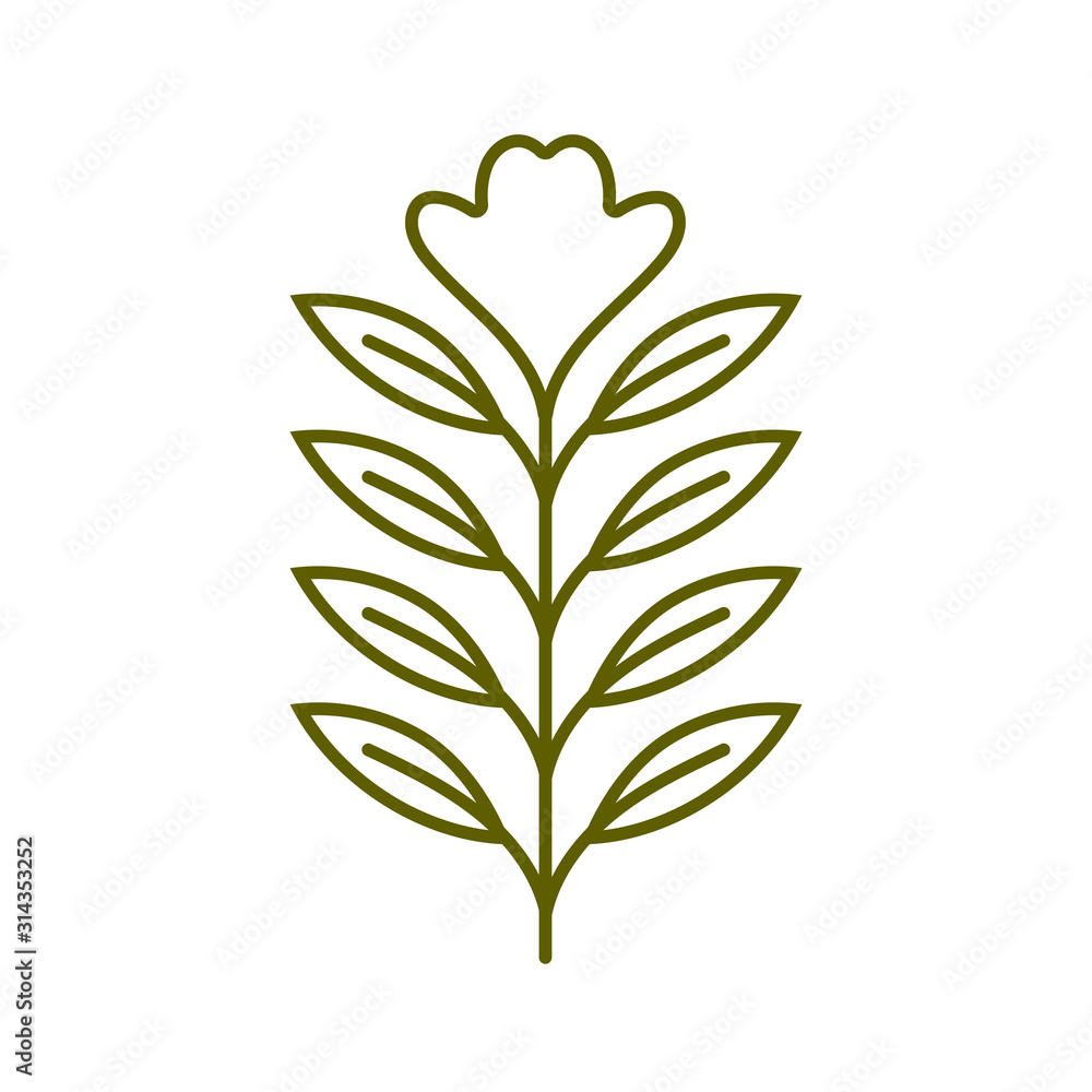flower stem nature plant line style flower stem nature plant line style