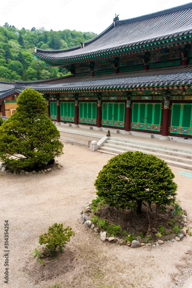 Trees and houses in Woljeongsa, buddhist temple of the Jogye Order of Korean Buddhism. Pyeongchang County, Gangwon Province, South Korea