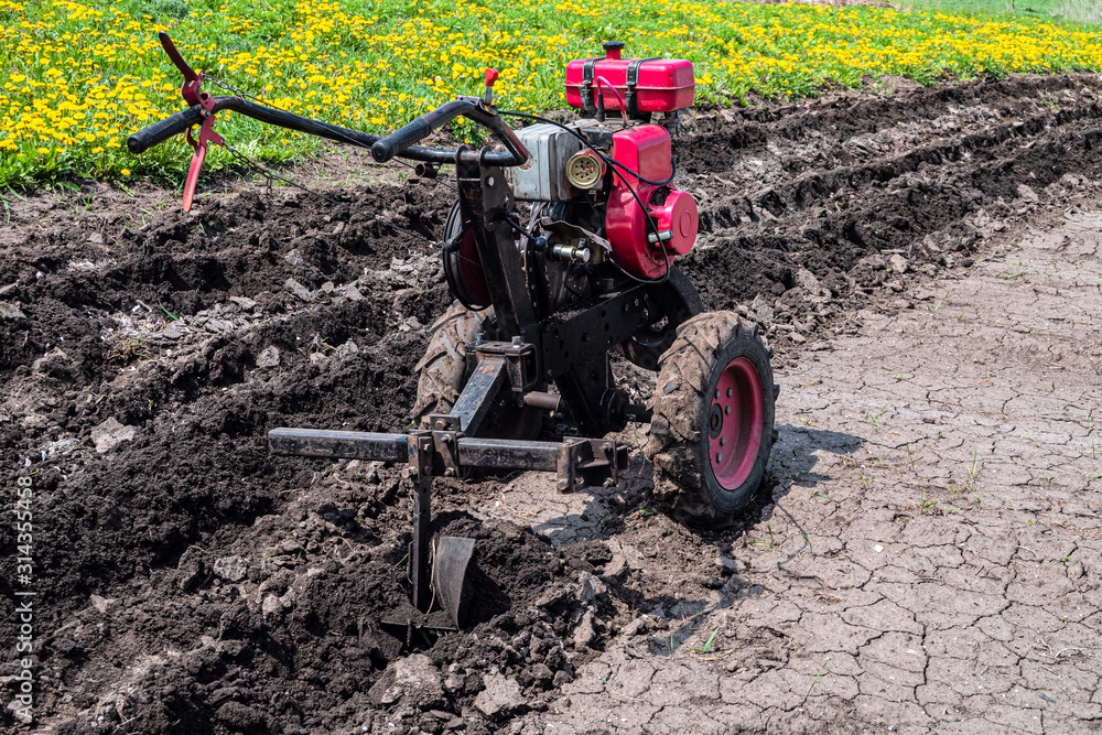 Gasoline cultivator with plow makes furrow in soil for potato plantation.  Walk-behind tractor in the garden. Stock Photo | Adobe Stock
