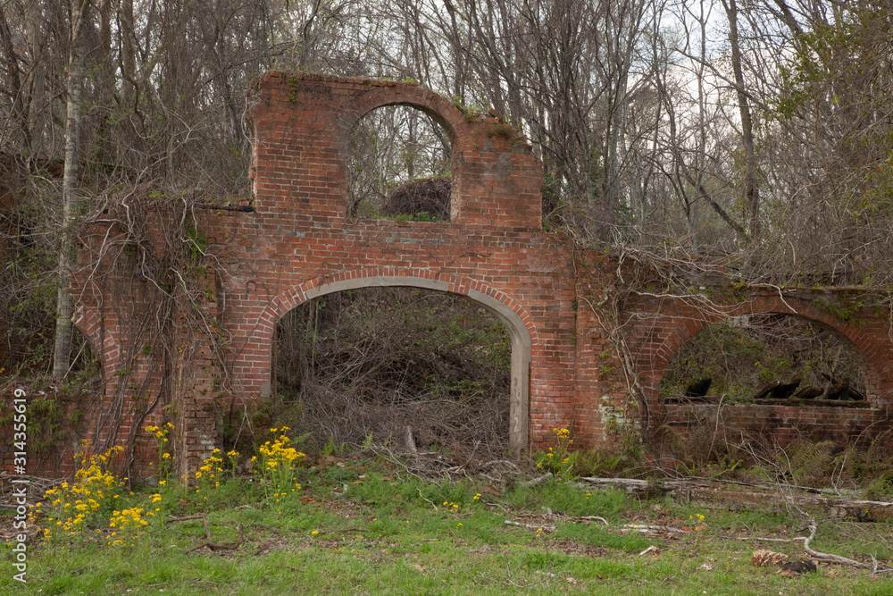 Louisiana mill ruins overrun with vines