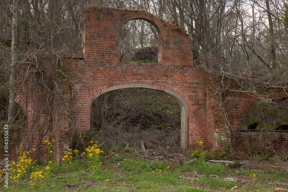 Louisiana mill ruins overrun with vines