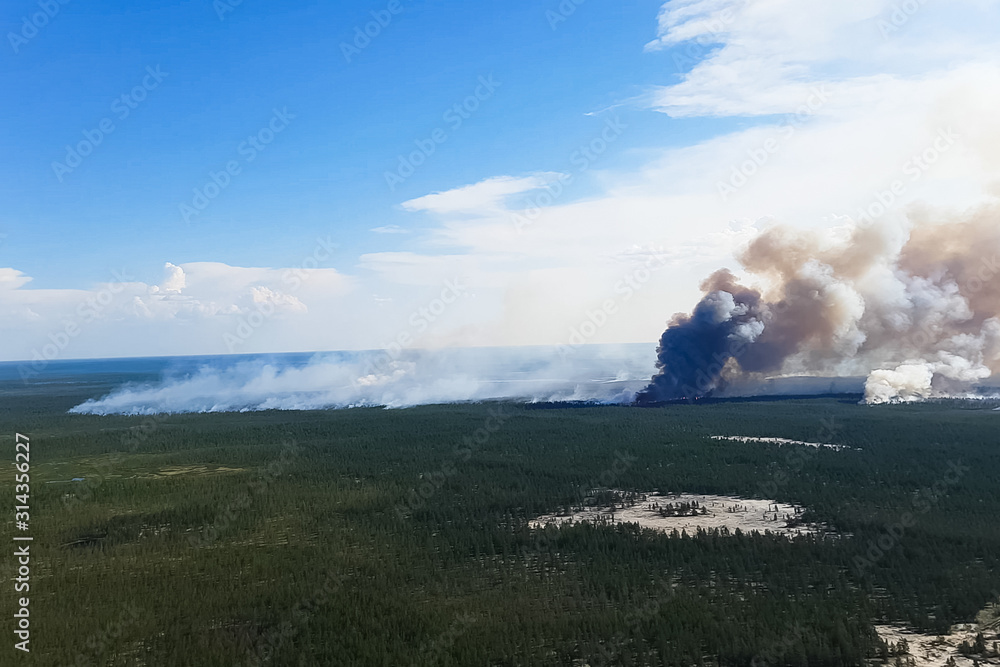 Fototapeta premium Fires in Russian forest, Transbaikal forest in fire, burning of