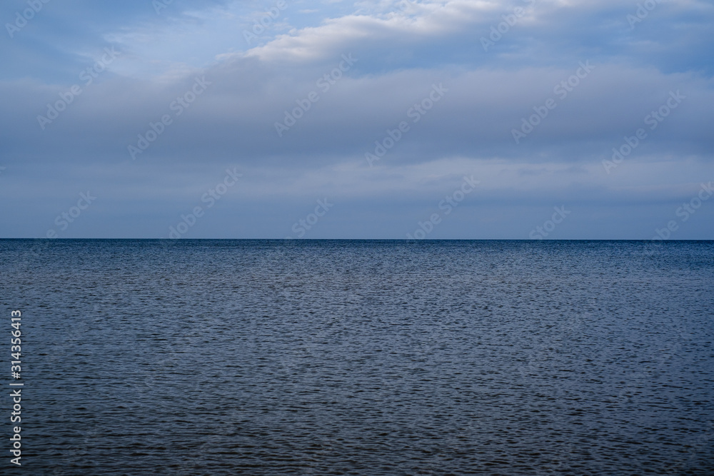 empty sea beach in autumn with some bushes and dry grass empty sea beach in autumn with some bushes and dry grass