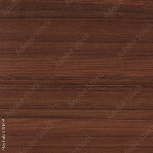 Wallpaper Mural Wood texture background. Wooden floor or table with natural pattern. Good for any interior design Torontodigital.ca