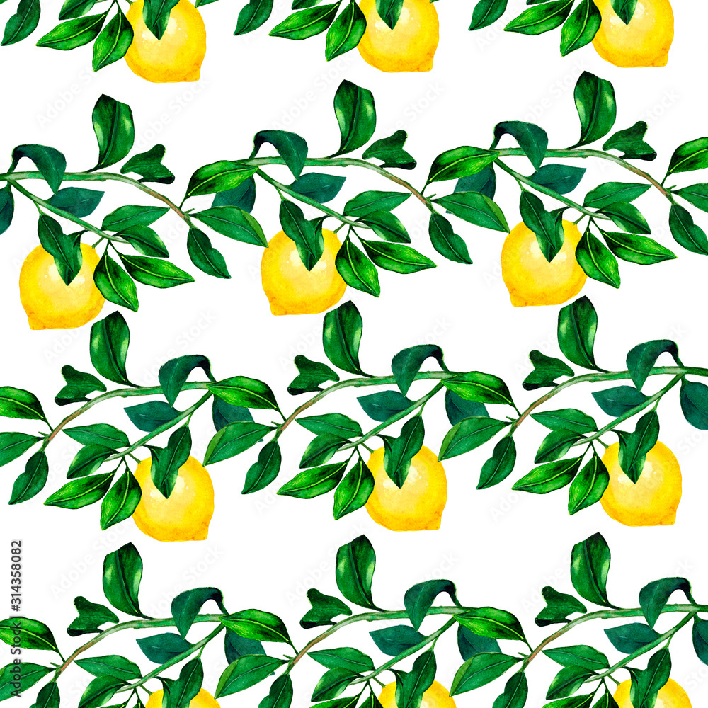 Watercolor lemon with branch and leaves seamless pattern. Hand drawn plants isolated on white background. Botanical illustration for design and decoration, cards, wrapping