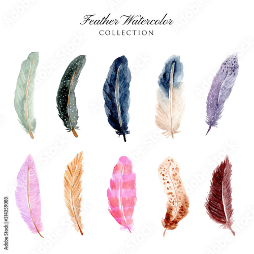 beautiful feather watercolor collection